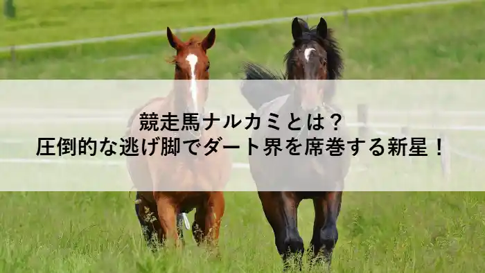 競走馬ナルカミの特徴を紹介するアイキャッチ画像。逃げ脚を武器に活躍する競走馬を表現。