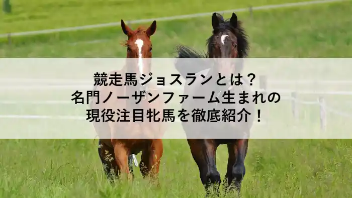 名門ノーザンファーム生まれの競走馬ジョスランが草原を駆ける様子