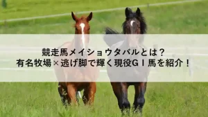 宝塚記念を逃げ切った競走馬メイショウタバルのレースシーン