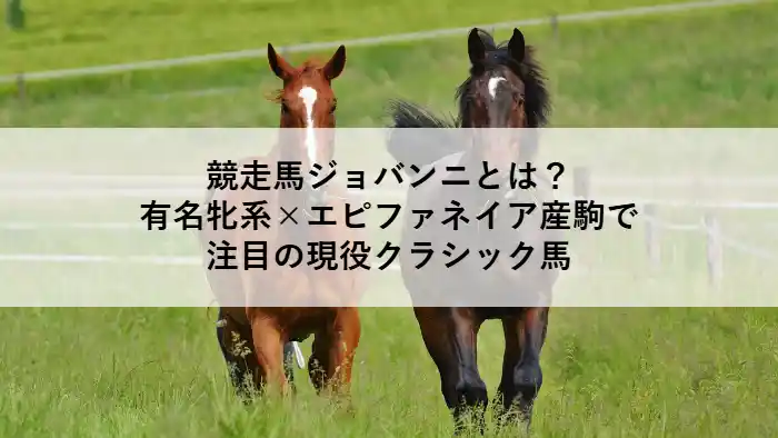 競走馬ジョバンニのイメージ画像。クラシック戦線で注目される現役牡馬。