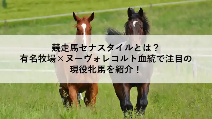 牧草地を走る2頭の馬｜競走馬セナスタイル紹介記事のアイキャッチ画像