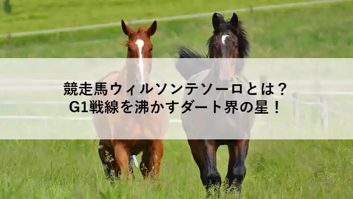 草原を走る2頭の馬。中央には「競走馬ウィルソンテソーロとは？G1戦線を沸かすダート界の星！」というタイトルテキストが配置されたアイキャッチ画像。