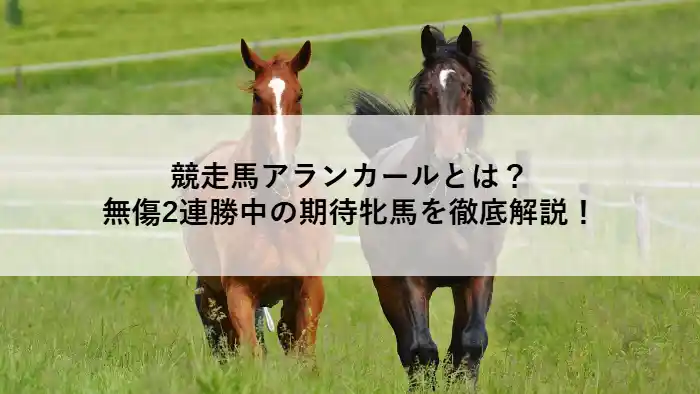 芝を走る2頭の競走馬と「競走馬アランカールとは？無傷2連勝中の期待牝馬を徹底解説！」という見出しテキスト
