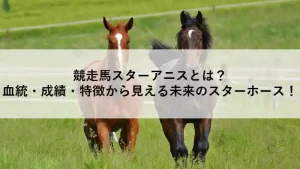競走馬スターアニスとは？血統・成績・特徴から見える未来のスターホース！