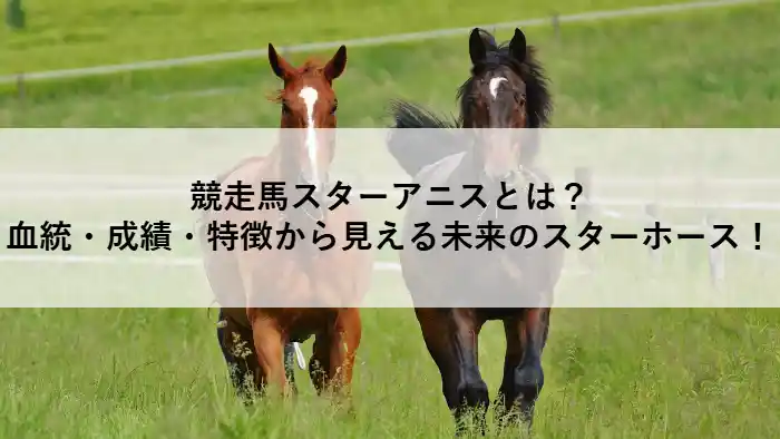 競走馬スターアニスとは?血統・成績・特徴から見える未来のスターホース!