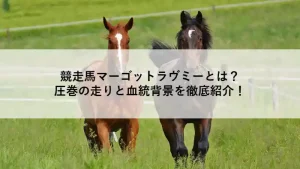 競走馬マーゴットラヴミーの特集記事アイキャッチ画像。芝コースを走る2頭の馬の写真にタイトルテキストが重ねられている。