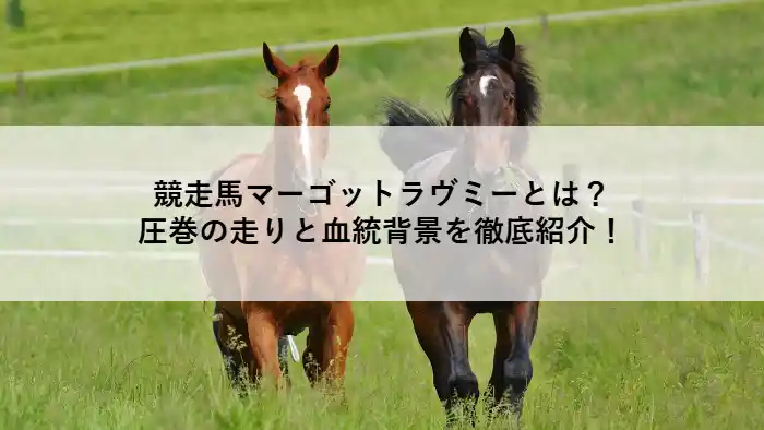 競走馬マーゴットラヴミーの特集記事アイキャッチ画像。芝コースを走る2頭の馬の写真にタイトルテキストが重ねられている。