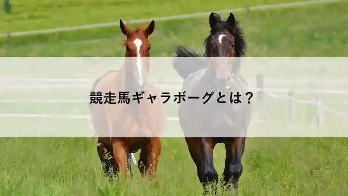 2歳牝馬ギャラボーグの紹介記事用アイキャッチ画像。草原を駆ける若駒たちの姿。