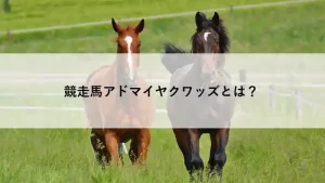 草原を走る2頭の競走馬の写真に「競走馬アドマイヤクワッズとは？」というタイトルが重ねられている画像