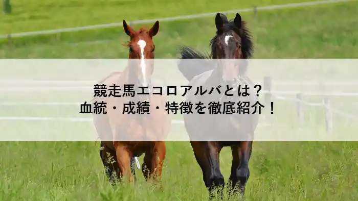 競走馬エコロアルバに関する血統・成績・特徴を紹介する記事のアイキャッチ画像(2頭の馬が草原を走る)
