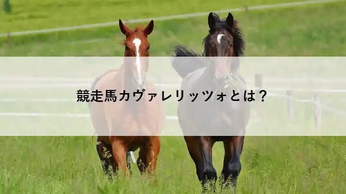芝を駆ける2頭の競走馬。記事「競走馬カヴァレリッツォとは？」のアイキャッチ画像。