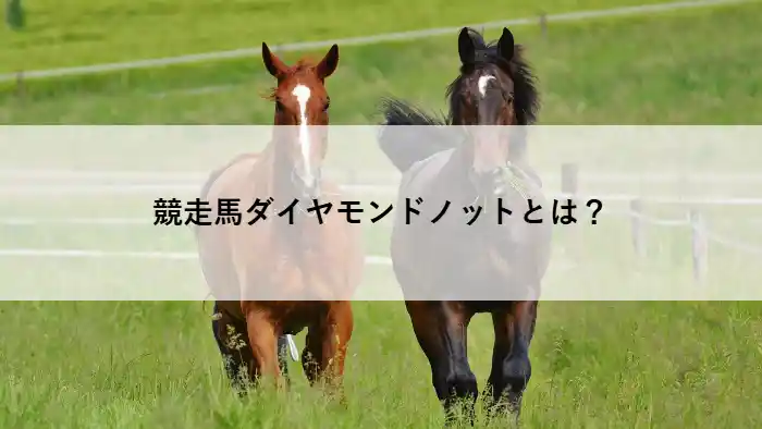 競走馬ダイヤモンドノットとは？血統背景と将来性をイメージしたサラブレッドの写真
