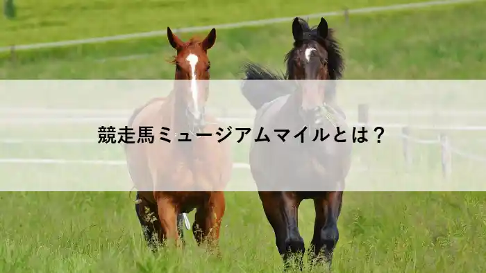競走馬ミュージアムマイルの脚質と距離適性を解説するイメージ画像