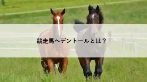 競走馬ヘデントールの脚質と距離適性を解説するイメージ画像