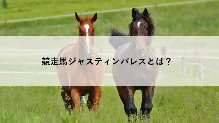 競走馬ジャスティンパレスをイメージした馬の写真。引退時期や有馬記念ラストランについて解説する記事のアイキャッチ画像。