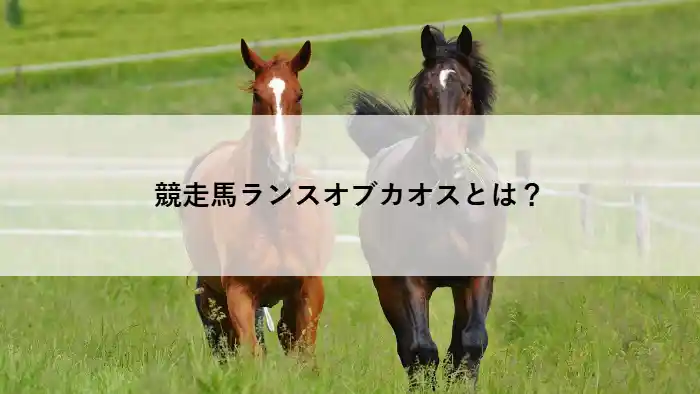芝生の牧場を走る競走馬のイメージ写真。ランスオブカオスの脚質や馬体の特徴を解説する記事のアイキャッチ。