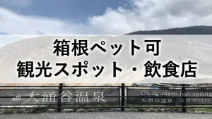 大涌谷温泉を背景にした、箱根ペット可観光スポット・飲食店の紹介記事のアイキャッチ画像