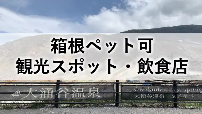 大涌谷温泉を背景にした、箱根ペット可観光スポット・飲食店の紹介記事のアイキャッチ画像