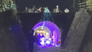長良公園イルミネーションの光のトンネルを楽しむ来場者の様子