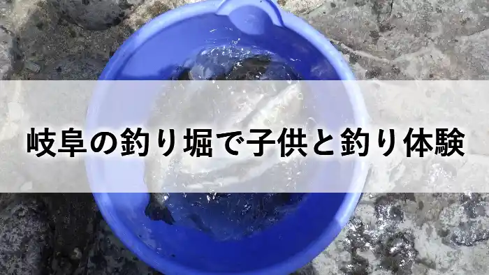 岐阜の釣り堀で釣った魚が入った青いバケツ