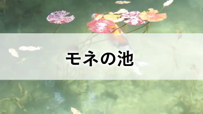 岐阜県関市のモネの池を泳ぐ錦鯉と睡蓮のアイキャッチ画像
