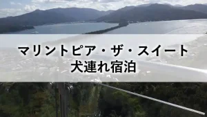 マリントピア・ザ・スイート犬連れ宿泊の記事アイキャッチ
