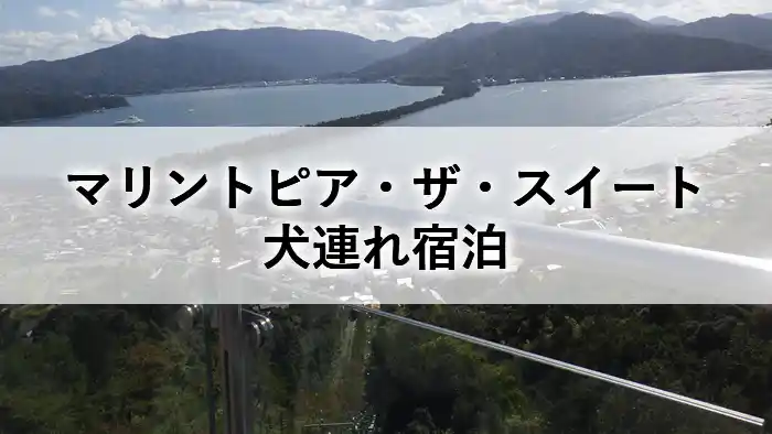 マリントピア・ザ・スイート犬連れ宿泊の記事アイキャッチ