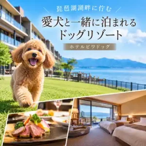 琵琶湖畔のホテルビワドッグで愛犬と過ごすイメージ